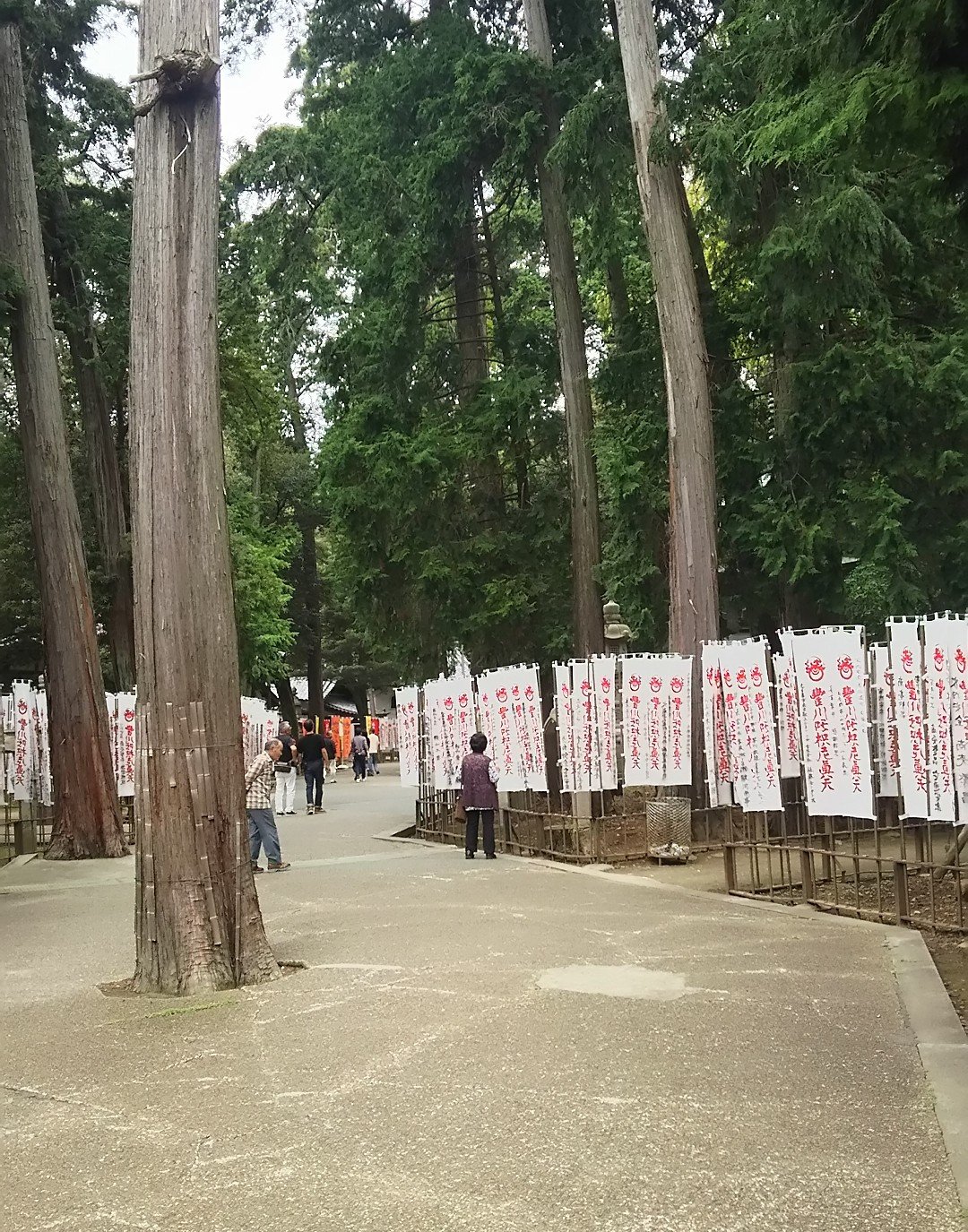 🦊 도요카와 이나리(묘곤지) 이미지 8